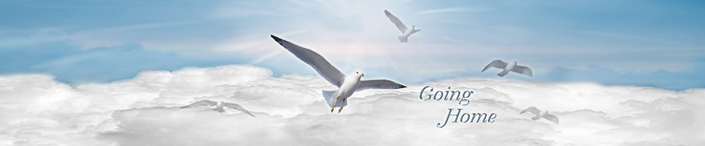 P FC 102 BL Going Home Blue Clouds FULL COUCH